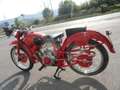 Moto Guzzi Airone AIRONE 250 SPORT Rosso - thumbnail 7