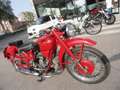 Moto Guzzi Airone AIRONE 250 SPORT Rosso - thumbnail 3