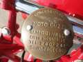 Moto Guzzi Airone AIRONE 250 SPORT Rot - thumbnail 14