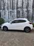Mazda 2 1.5 Evolve 90cv my18 - thumbnail 1