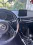 Mazda 2 1.5 Evolve 90cv my18 - thumbnail 3