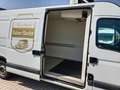 Opel Movano Movano L3H2 2,5 CDTI 3,5t DPF *Kühlkasten Blanc - thumbnail 19
