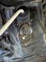 Ford F 100 Ford F100 allrad F110 Pick up - thumbnail 10