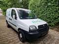Fiat Doblo 1.6 16V Kasten SX,Servo,TÜV,80tkm,Sauber,1-Hand Weiß - thumbnail 1