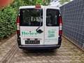 Fiat Doblo 1.6 16V Kasten SX,Servo,TÜV,80tkm,Sauber,1-Hand Weiß - thumbnail 6