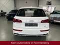 Audi Q5 55TFSI e quattro S Line MatrixSthz.KameraACC Weiß - thumbnail 6