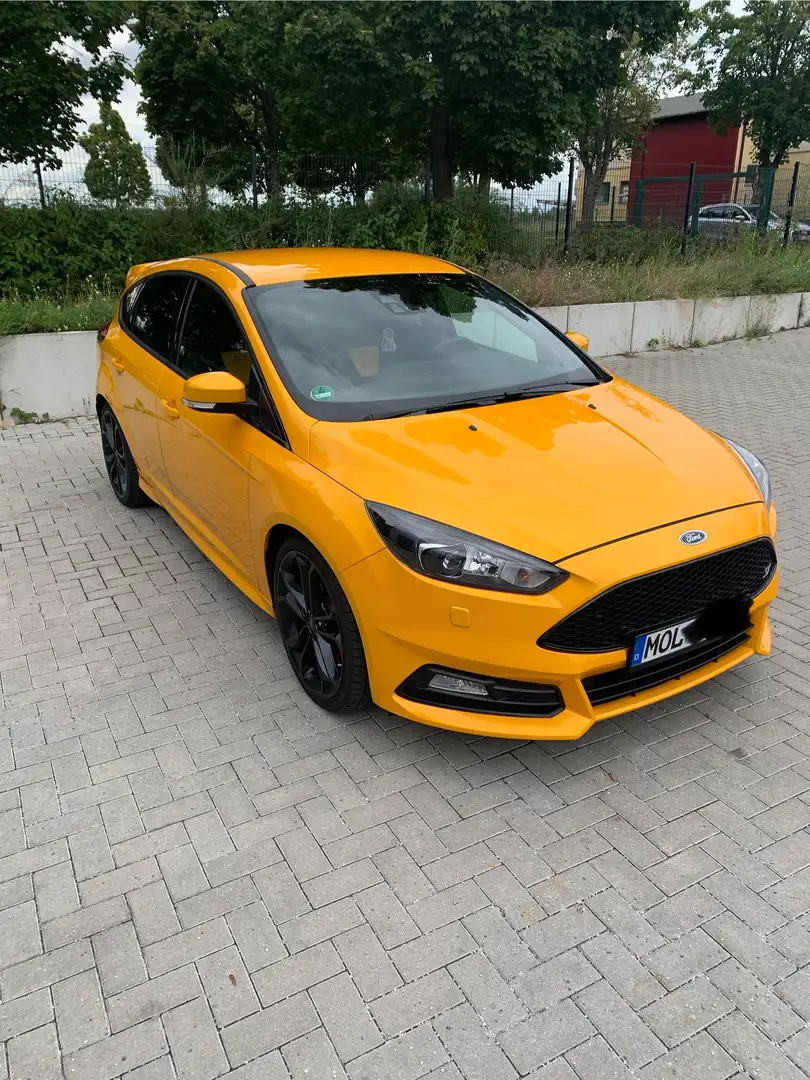 Ford Focus ST MK 3 2.0 EcoBoost Gelb - 2