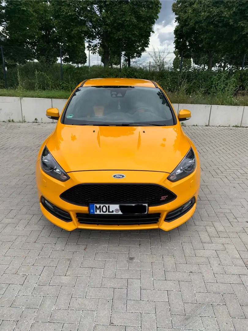Ford Focus ST MK 3 2.0 EcoBoost Gelb - 1