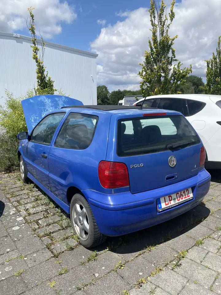 Volkswagen Polo, foto 8
