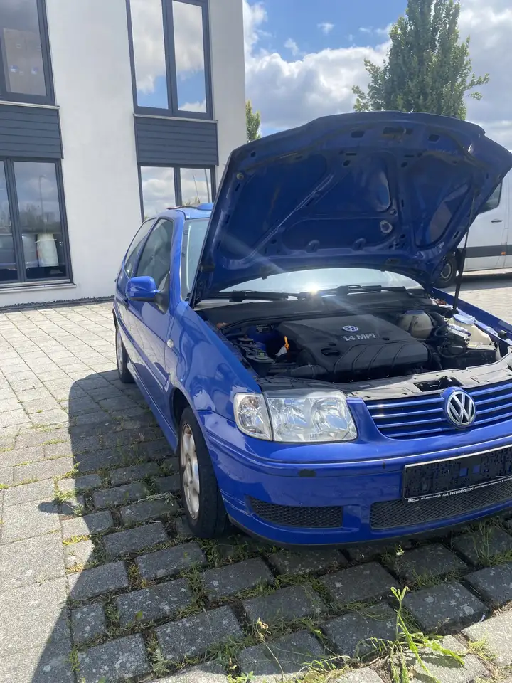 Volkswagen Polo, foto 4