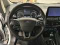 Ford EcoSport 1.0 Ecoboost 125cv S&S Active Bianco - thumbnail 13