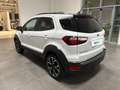 Ford EcoSport 1.0 Ecoboost 125cv S&S Active Bianco - thumbnail 3
