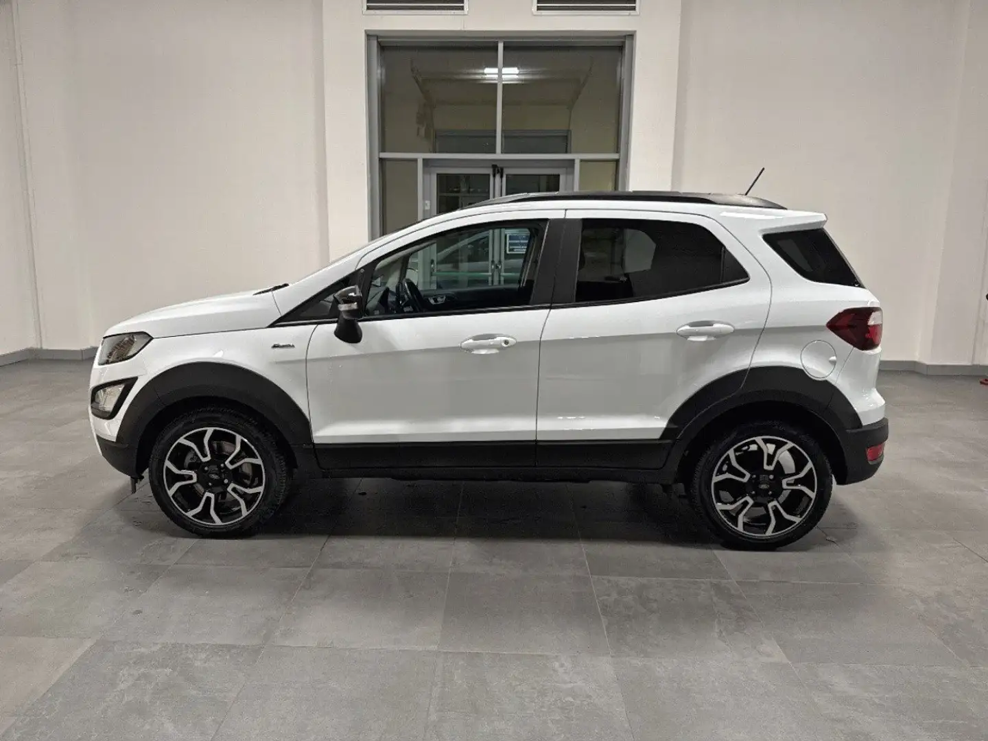 Ford EcoSport 1.0 Ecoboost 125cv S&S Active Bianco - 2