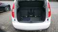Skoda Roomster Ambition Plus Edition Weiß - thumbnail 11