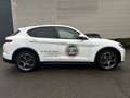 Alfa Romeo Stelvio 2.0 Turbo 16V AT8-Q4 Sprint lichte vracht !! - thumbnail 4