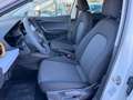 SEAT Ibiza Reference Edition 1.0 80PS Weiß - thumbnail 10