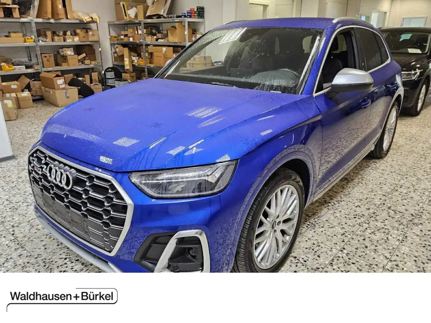 Audi SQ5 3.0 TDI quattro Klima Navi Rückfahrkamera Blau - 1
