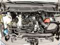 Ford Fiesta 1.0 EcoBoost Hybrid S&S Aut. ACTIVE NAVI Winter Bleu - thumbnail 15