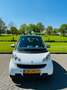 smart forTwo cdi coupe softouch edition 10 dpf Blanc - thumbnail 1
