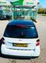smart forTwo cdi coupe softouch edition 10 dpf Blanc - thumbnail 2