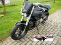 Buell XB 12 S Lightning  2004   Lucky-ÖPR Schwarz - thumbnail 10