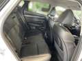 Hyundai TUCSON Plug IN Prime Leder Navi LED Klima-Sitze uvm. Blanco - thumbnail 13