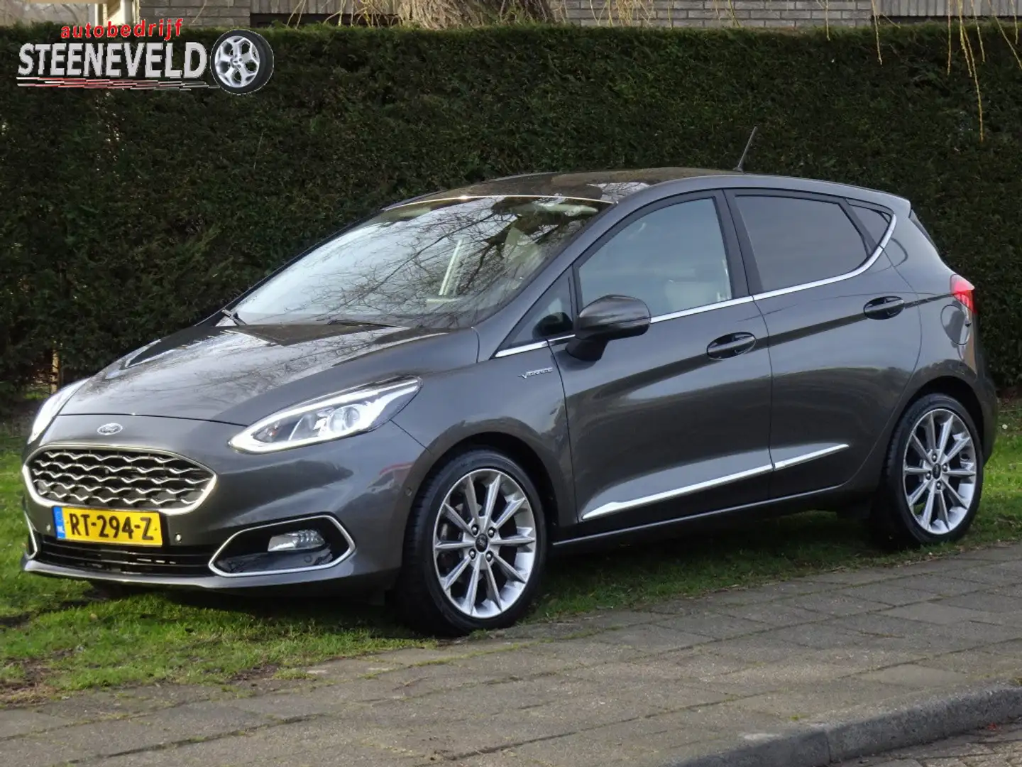 Ford Fiesta 1.0 100pk AUTOMAAT Viginale met Navi en WinterPack Grijs - 1