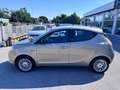 Lancia Ypsilon Ypsilon III 2011 1.2 8v Gold c/CL 69cv E6 Beige - thumbnail 8