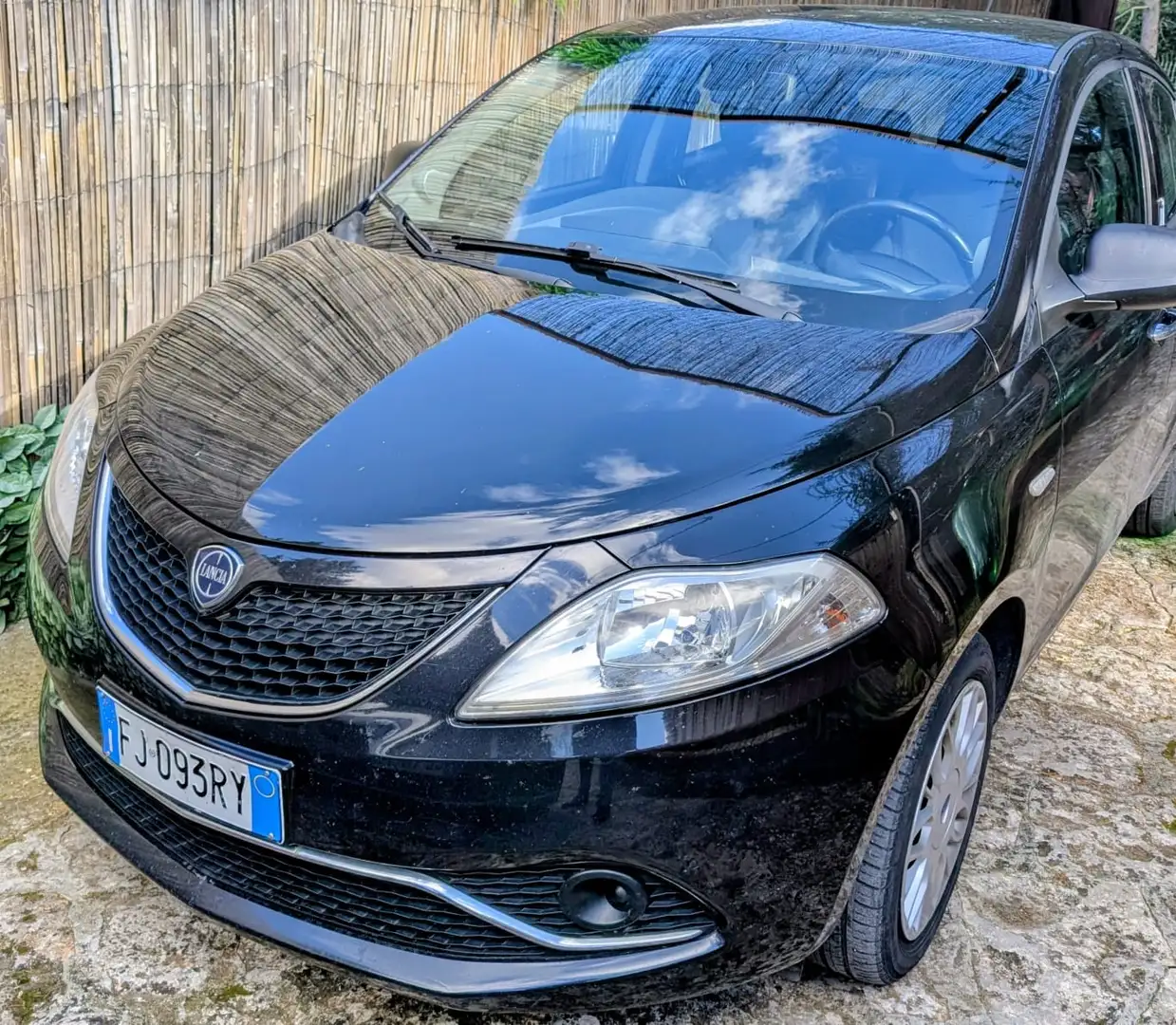 Lancia Ypsilon 1.3 mjt Platinum s&s 95cv - 1