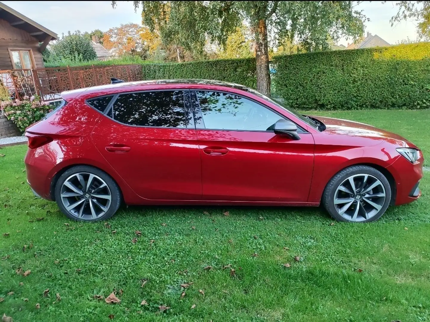 SEAT Leon 2.0 TDI 115 BVM6 Finition FR - 2