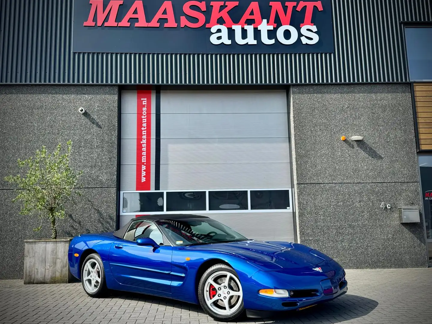 Chevrolet Corvette C5 Convertible / Aut / 2003 / 50th / The best of s Blauw - 2