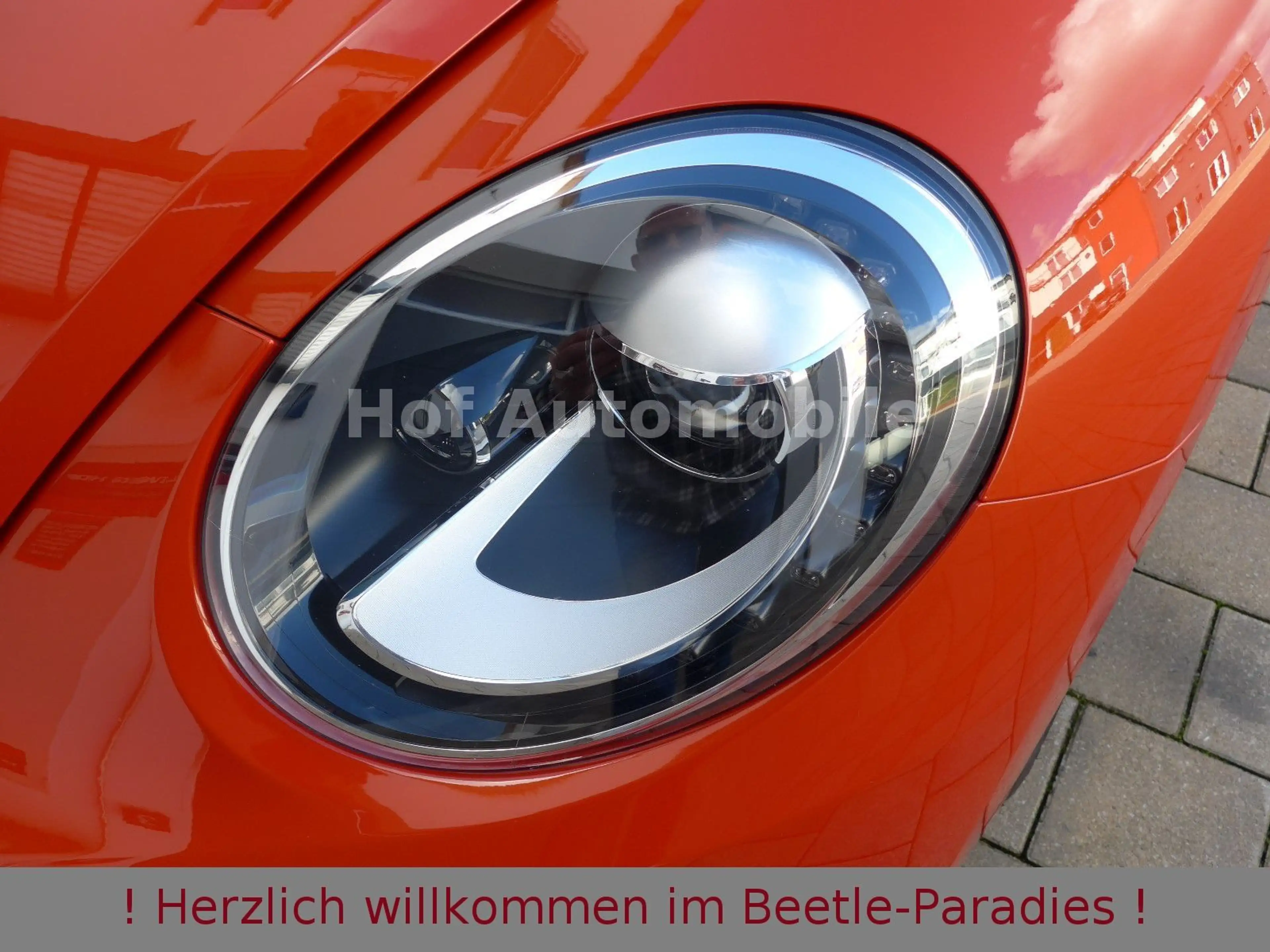 Volkswagen Beetle 2.0TDI DSG (150PS) Club-Plus Pano. Fender — photo 14