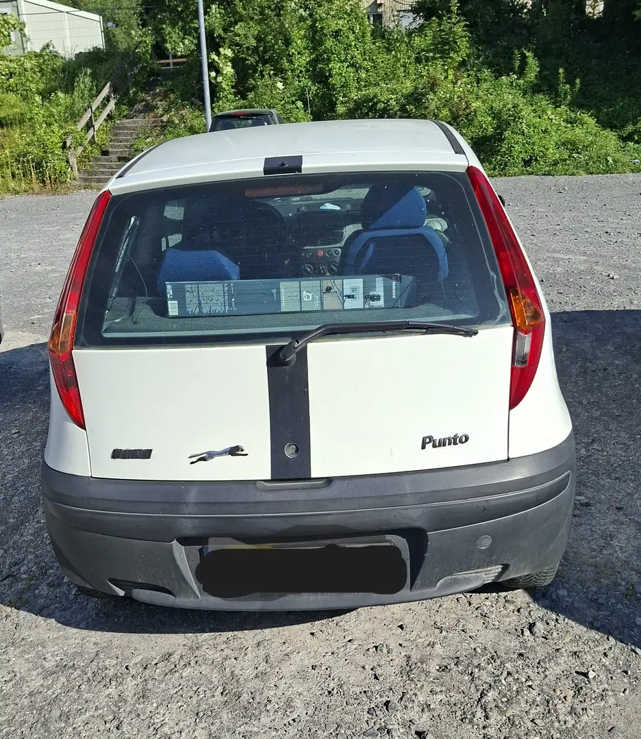Fiat Punto Punto 1.2 Blanc - 1