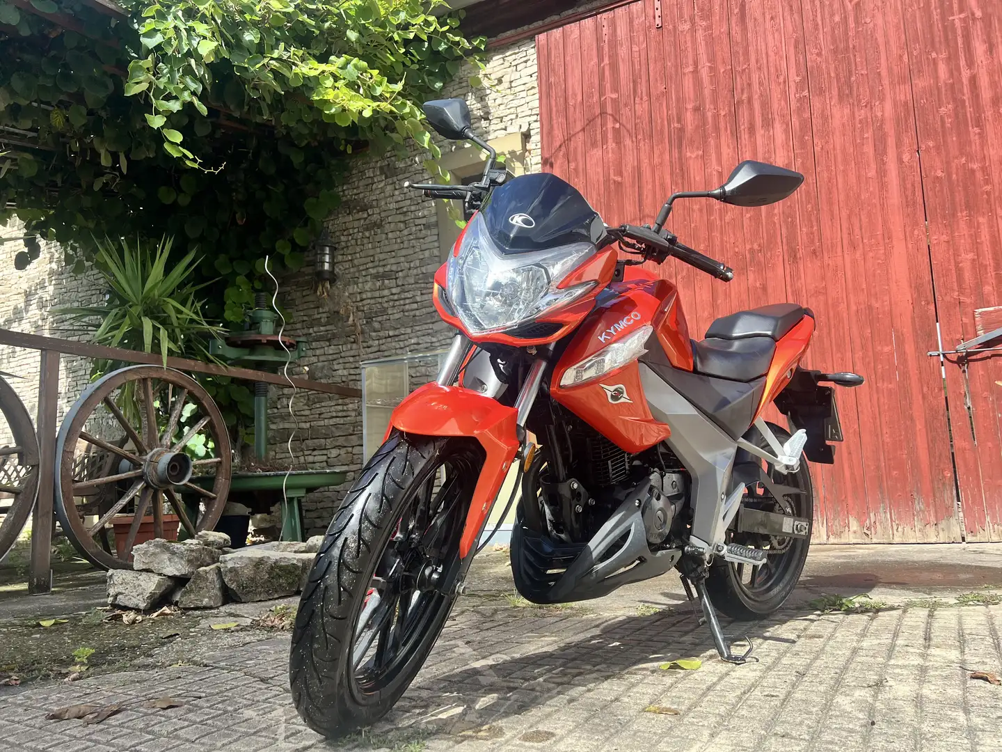 Kymco CK 125 Orange - 2
