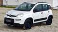 Fiat Panda Panda III 2016 4x4 0.9 t.air t. 4x4 s Weiß - thumbnail 12