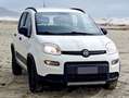 Fiat Panda Panda III 2016 4x4 0.9 t.air t. 4x4 s Weiß - thumbnail 11