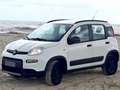 Fiat Panda Panda III 2016 4x4 0.9 t.air t. 4x4 s Weiß - thumbnail 1