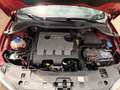 SEAT Ibiza Ibiza 1.6TDI CR Reference Tech Reference Tech Rojo - thumbnail 12