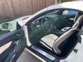 Mercedes-Benz SLK 200 SLK Roadster - R171 k 2Look edition Bílá - thumbnail 5