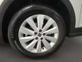 SEAT Arona 1.0 TSI Style LED Climatr. RFK LM Tempo Weiß - thumbnail 5