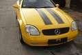 Mercedes-Benz SLK 230 SLK 230 Kompressor Amarillo - thumbnail 14
