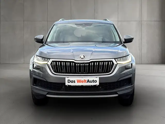 Skoda Kodiaq view 2