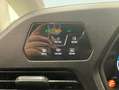Volkswagen Caddy Maxi Outdoor 2.0 TDI 90kW (122CV) DSG - 5P ( Azul - thumbnail 29