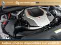 Audi RS4 BREAK 2.9 TFSI 450 CV QUATTRO TIPTRONIC Grau - thumbnail 19