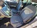 SEAT Ibiza 1.0i TSI Business Intens Climate Cruise Apple Navi Weiß - thumbnail 11