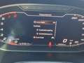 SEAT Ibiza 1.0i TSI Business Intens Climate Cruise Apple Navi Weiß - thumbnail 18