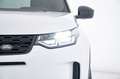 Land Rover Discovery Sport 2.0 TD4 163 CV AWD Auto - AUTOCARRO Bianco - thumbnail 12