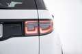 Land Rover Discovery Sport 2.0 TD4 163 CV AWD Auto - AUTOCARRO Bianco - thumbnail 13