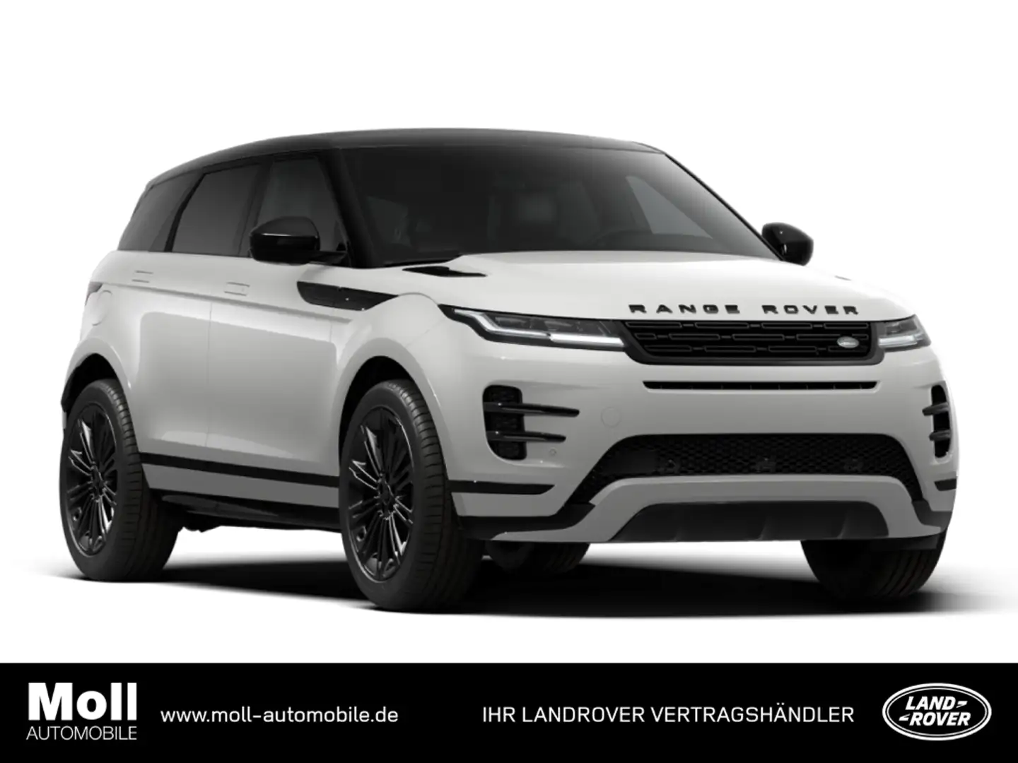 Land Rover Range Rover Evoque D200 Dynamic SE Leder Soundsystem Meridian LED ACC Weiß - 1