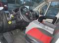 Fiat Ducato Ambulanza 2.3 150CV All. ORION Bílá - thumbnail 10